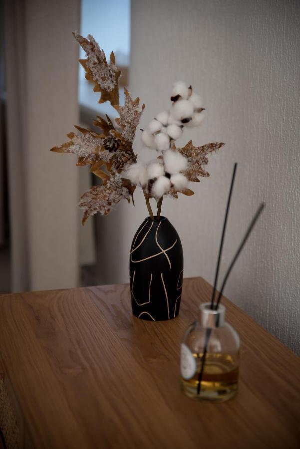 Calme Et Cosy Apartment Obernai Ngoại thất bức ảnh